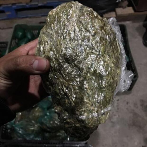 PGR decomisa frutas y verduras rellenas de marihuana en Jalisco