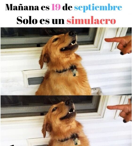 Todavía no es el simulacro, pero ya llegaron los memes