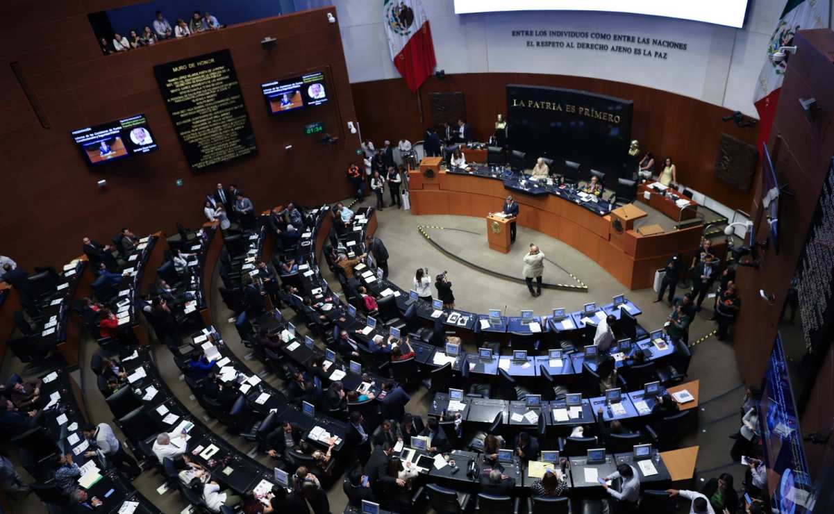 ? Senado recibe dos iniciativas de reforma de Sheinbaum

En esto consisten