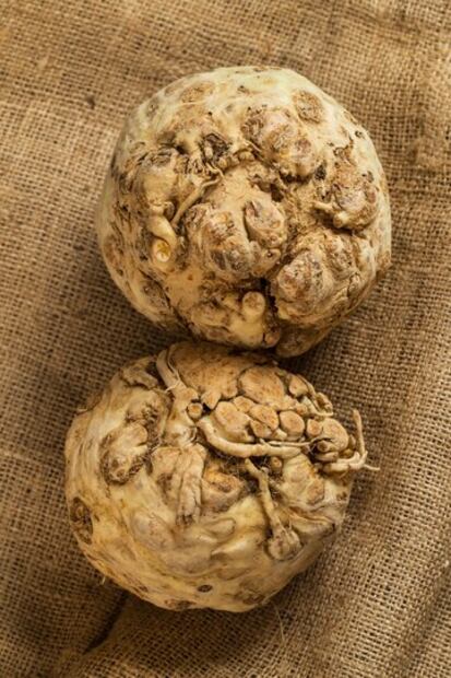 Una hierba contra el dolor lumbar. Fuente: Freepik