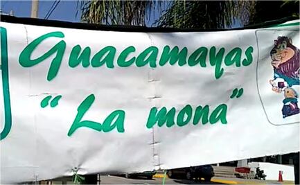 Las guacamayas de Don José afuera del estadio de León