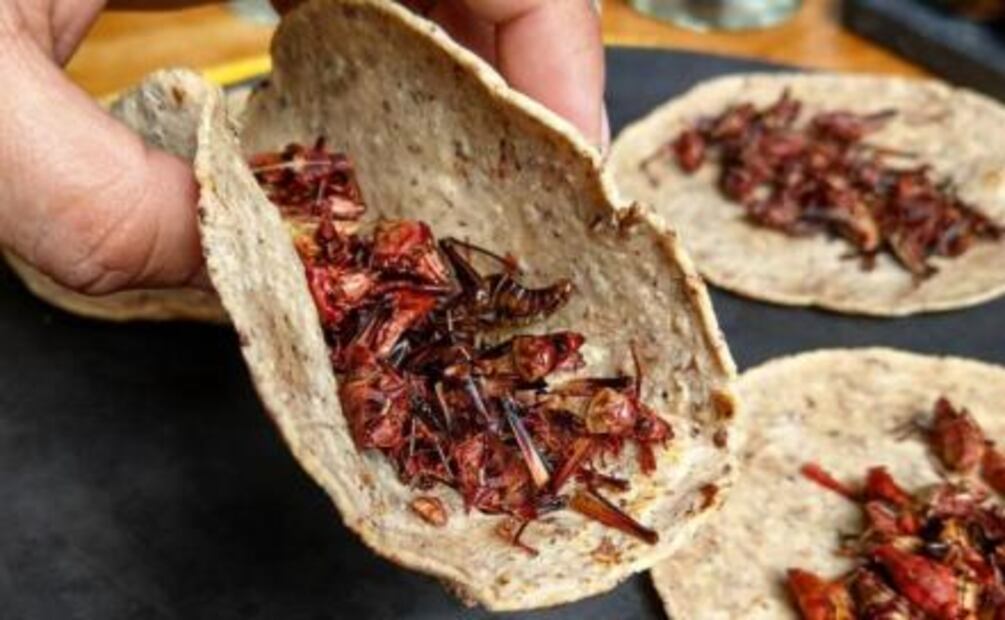 5 restaurantes oaxaqueños que tienes que conocer en CDMX