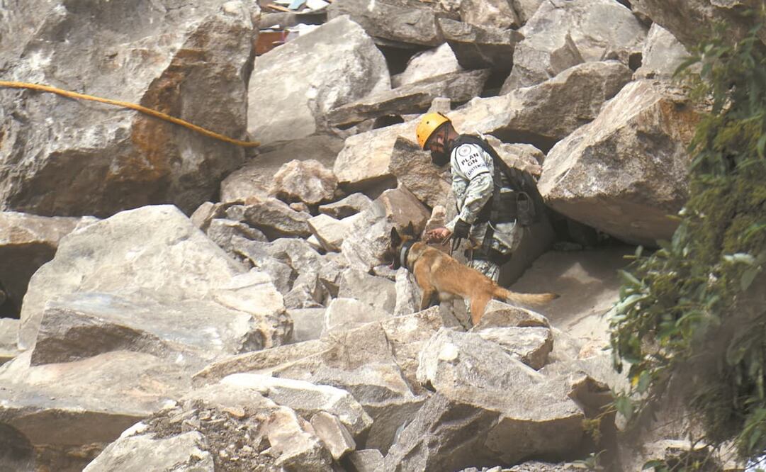 Uno de los binomios que trabaja en la búsqueda de personas que quedaron entre los escombros del desastre. Foto: Armando Martínez. EL UNIVERSAL