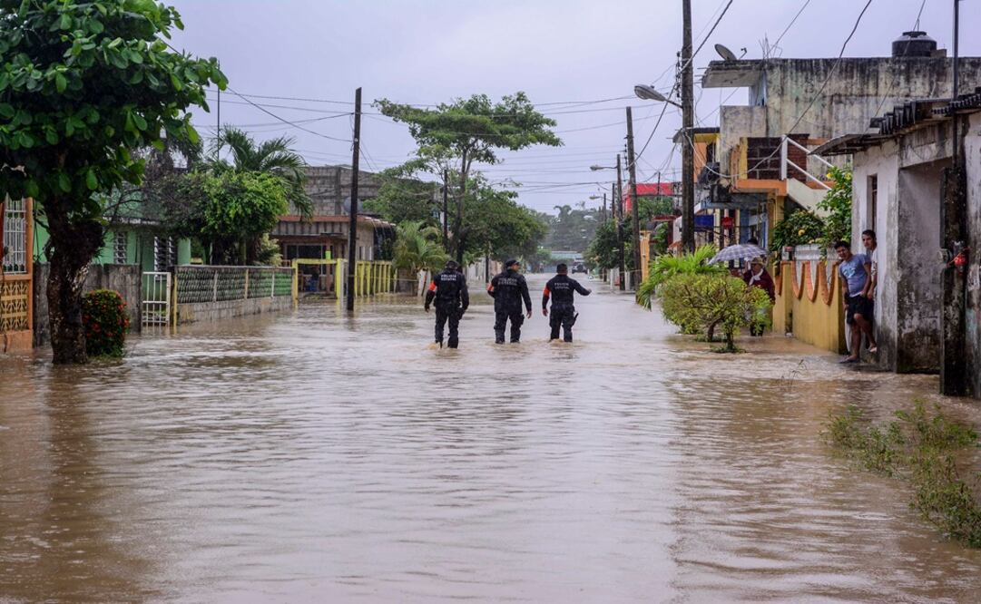 Foto: Archivo/ Cuartoscuro
