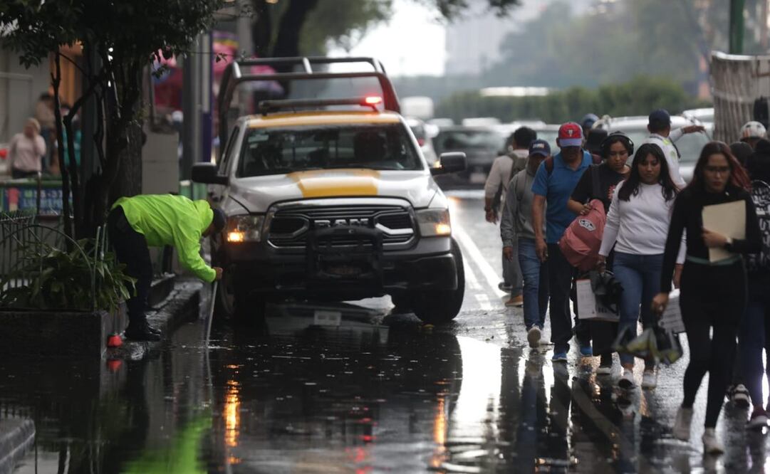 Intensas lluvias dejan encharcamientos y árboles caídos en CDMX. Foto: Francisco Rodríguez / EL UNIVERSAL
