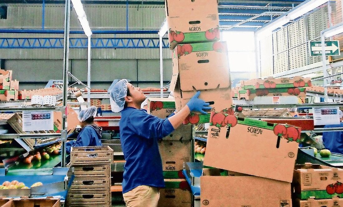 En los últimos 20 años, el comercio del jitomate se hizo con precios mínimos de venta que fijaron mexicanos y estadounidenses. ARCHIVO EL UNIVERSAL