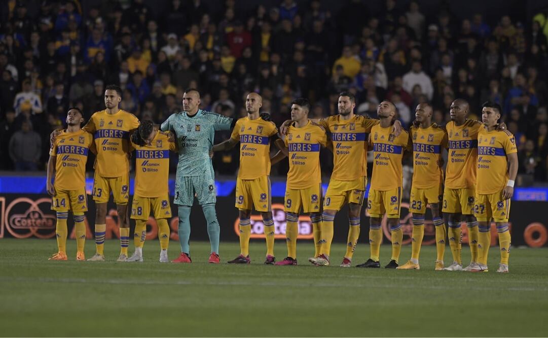 Tigres. Foto: Especial