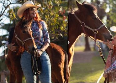 VIDEO: Así fue el rescate de "Mila", la última potranca que documentó Elena Larrea en TikTok