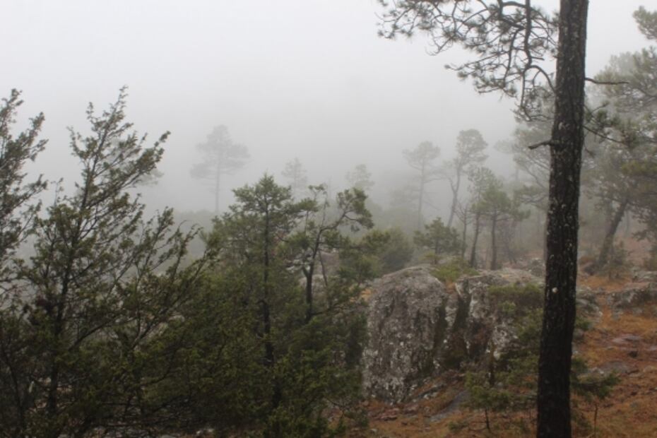 Dónde hacer astroturismo o turismo de las estrellas en México