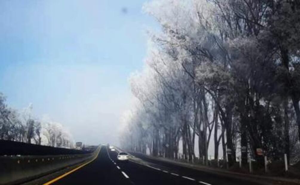 Estas son las imágenes de las nevadas en los estados