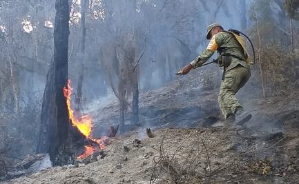 Se registra nuevo incendio en el sur de Nuevo León