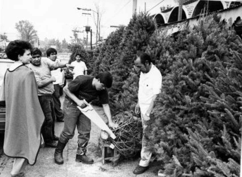 El árbol pagano que conquistó la Navidad