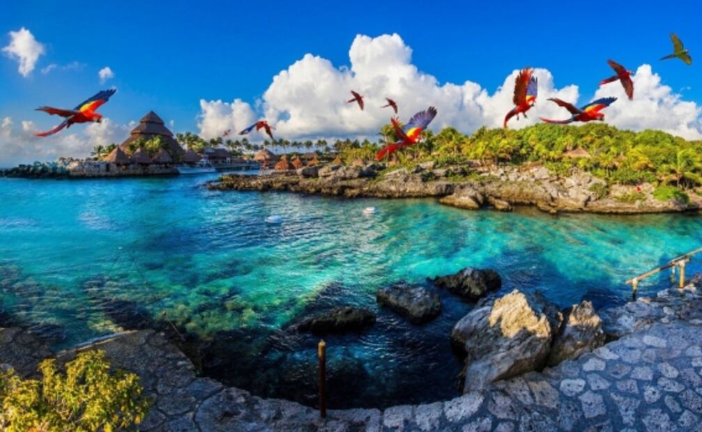 Reabrirán Parque Xcaret con modelo de desinfección al 100% ante Covid-19