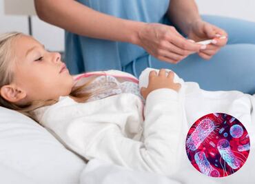 Reportan 14 casos de intoxicación infantil grave por e-coli en Francia; una menor falleció