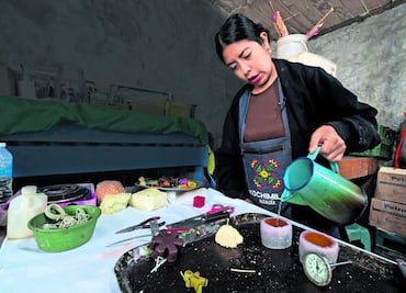 Iluminan la Navidad con velas aromáticas