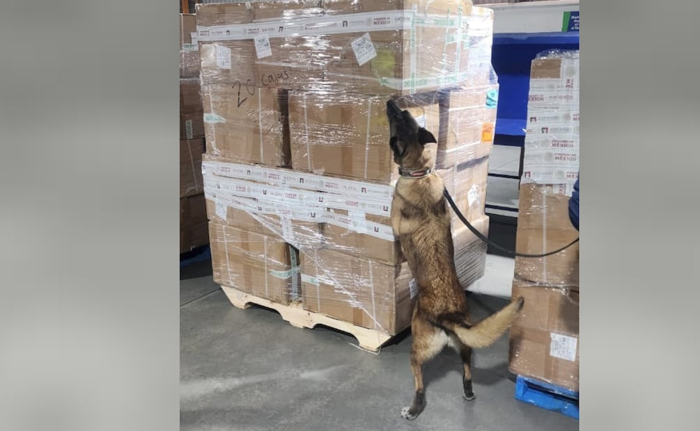 Aseguran en la aduana del AICM más de dos millones de cigarrillos procedentes de Tailandia (13/08/2026). Foto: Especial