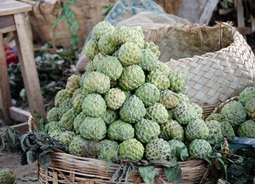 Conoce los beneficios de la chirimoya