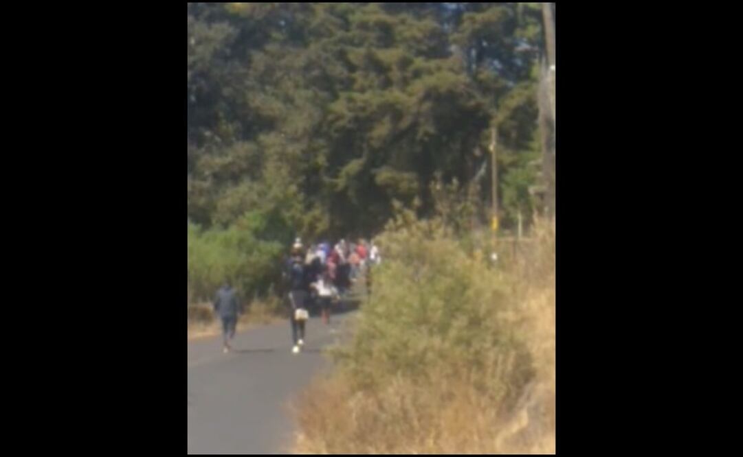 Foto: captura de pantalla