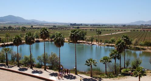 Monte Xanic presenta su vino premium y nueva imagen 