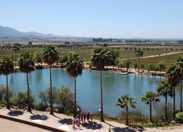 Monte Xanic presenta su vino premium y nueva imagen