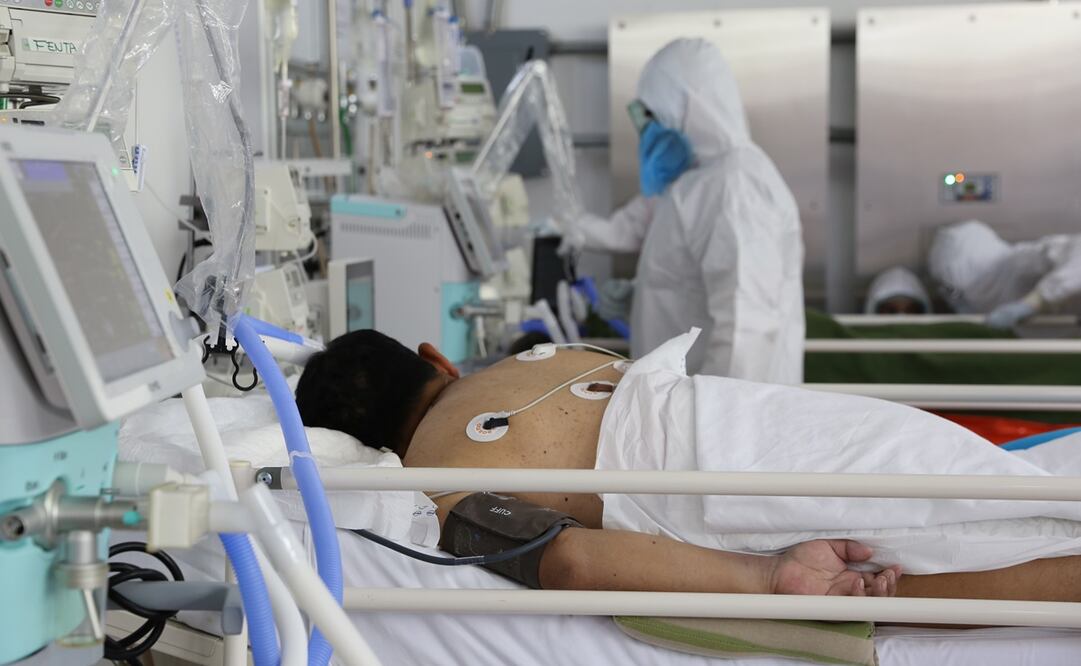 Foto: Archivo. EL UNIVERSAL