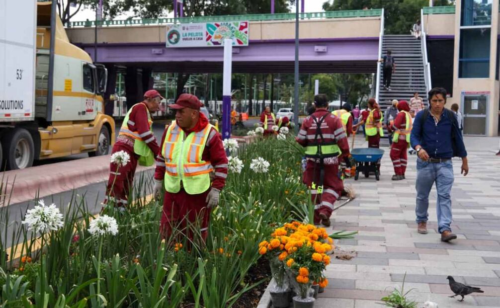Trabajadores acomodan macetas sobre la tierra y jardineras enfrente del recinto. Foto: Karla Guerrero/ El Universal