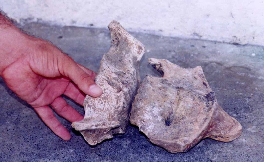 Imagen referencial. (FOTO: Archivo/ EL UNIVERSAL)