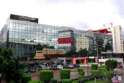 Denuncia ONG a Cofepris por obstaculizar solicitudes de cannabis medicinal