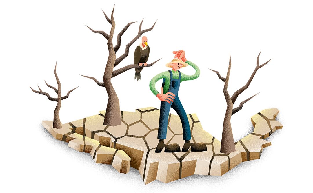 Ilustración: DANIEL RAZO