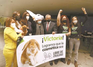 Prohíben pruebas cosméticas en animales