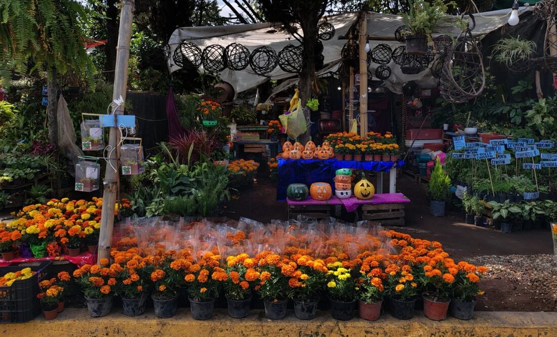 "Ser rentable ya no lo es tanto": productores de cempasúchil enfrentan caída en ventas. Foto: Arantxa Meave