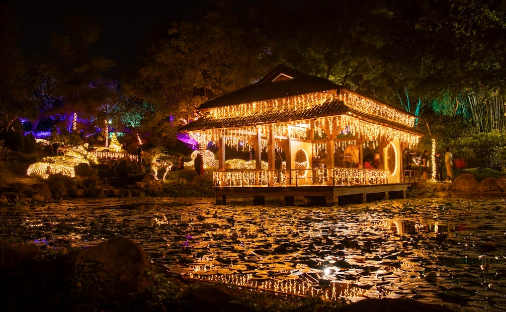 Jardines de México se ilumina con flores vibrantes y luces de Navidad. Foto: Cortesía