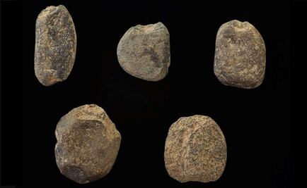 Humanos utilizaron sofisticadas técnicas de pesca con redes hace 29 mil años