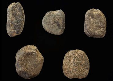 Humanos utilizaron sofisticadas técnicas de pesca con redes hace 29 mil años