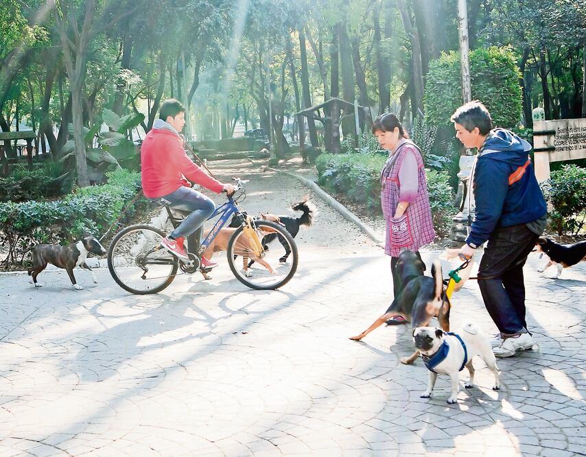 ARCHIVO / EL UNIVERSAL