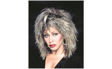 El drama que vivió Tina Turner y su hijo Craig Raymond