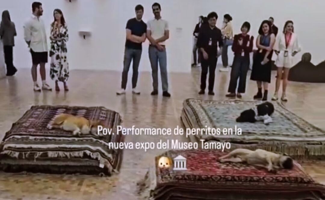 Performance Museo Tamayo. Foto: Omar Díaz
