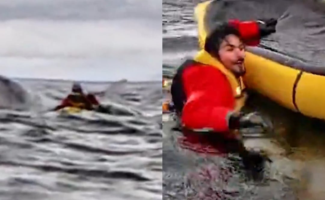 Un joven de 20 años fue tragado por una ballena jorobada mientras se encontraba realizando packrafting en Punta Arenas. Foto: Captura de pantalla de video de X @AlertaNews24