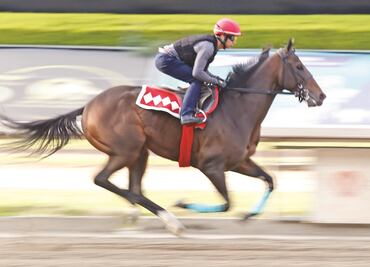 ¿El Kremlin en Las Américas?