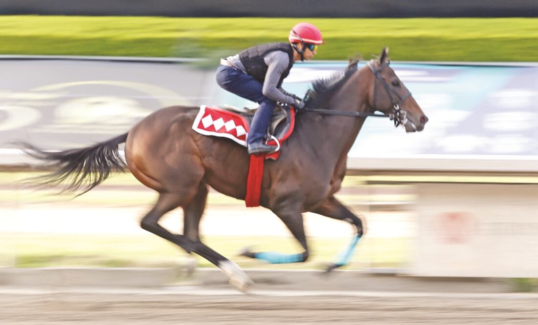 ¿El Kremlin en Las Américas?