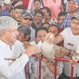 Licitación para obra del Tren Maya, en un mes: AMLO