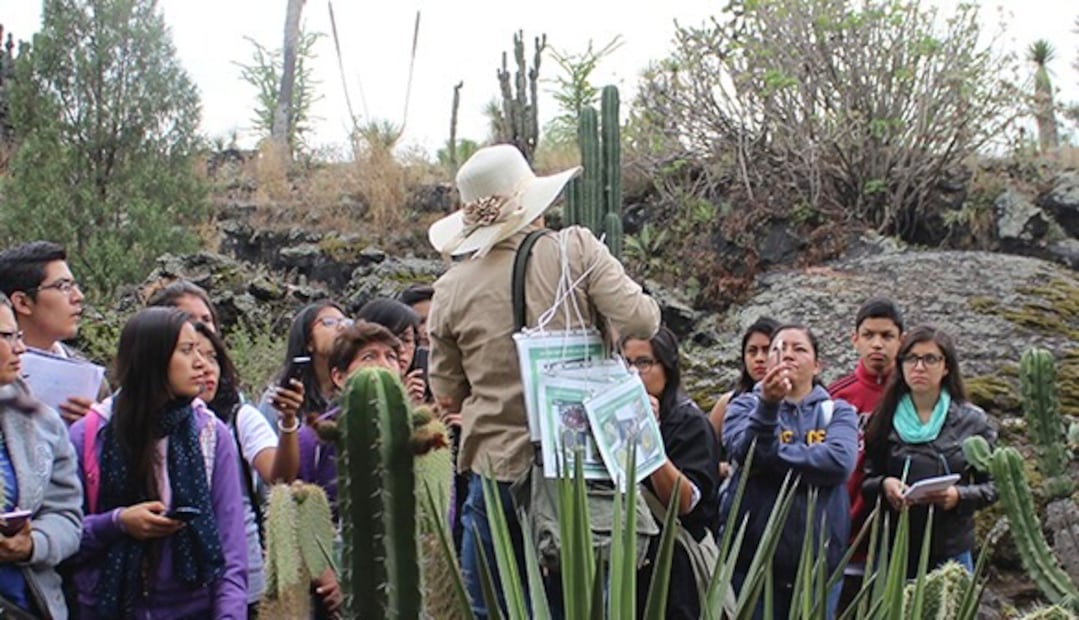 El Jardín Botánico de la UNAM ofrece distintas actividades para conocer más sobre la biodiversidad del país. Foto: IB UNAM