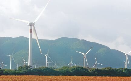 Empresas extranjeras venían "a hacer su agosto" en materia energética: AMLO