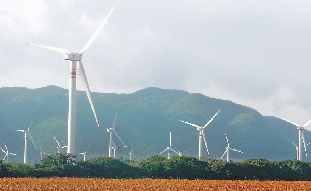 Foto: Archivo/EL UNIVERSAL 