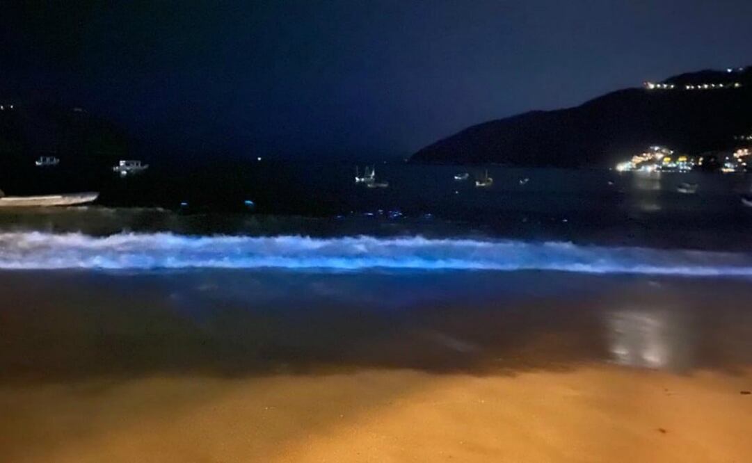 En Puerto Marqués, Acapulco, la bioluminiscencia se debe a plancton. Foto: Fidetur