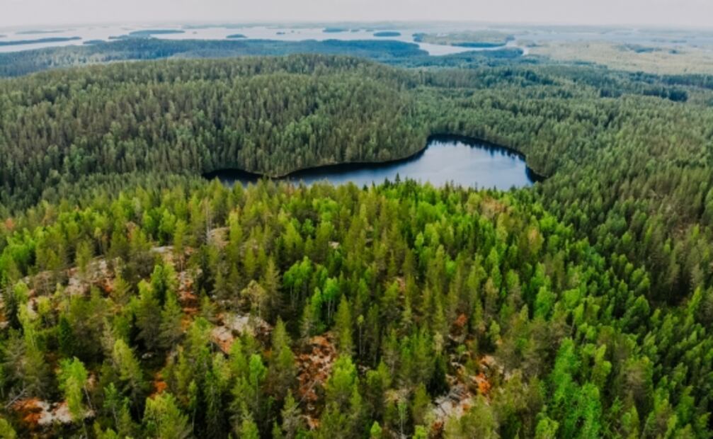 “Renta” a un finlandés y viaja gratis por el país más feliz del mundo