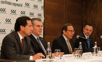 Iniciativas para leyes educativas son anticonstitucionales: CCE