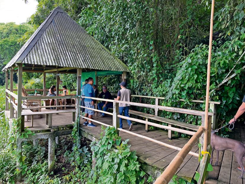 Al desembarcar en Nanciyaga se encuentra un puente rústico de madera,
desde donde se pueden apreciar unas cabañas. Foto: de Patricia Morales. El Universal
