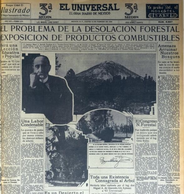 Tala ilegal, un viejo problema en México