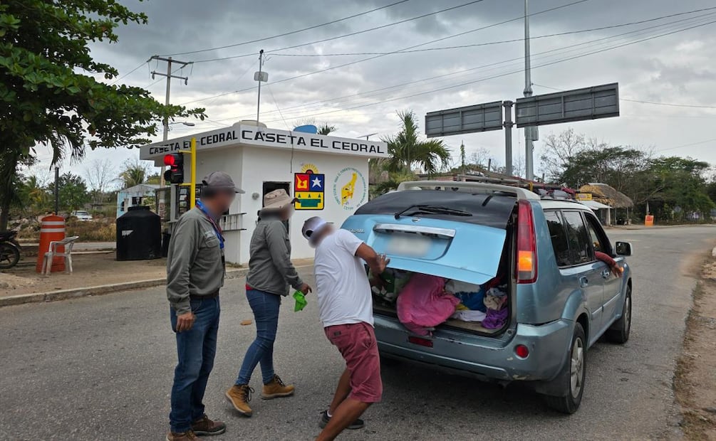 Operativos de la Profepa en el sureste del país para combatir el tráfico de animales (20/03/2026). Foto: Profepa